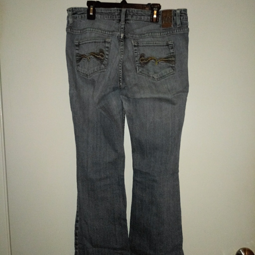 American Ragl - Picture 2 of 3
